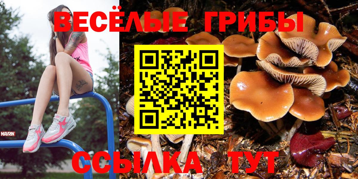 Псилоцибиновые грибы прущие грибы Шали