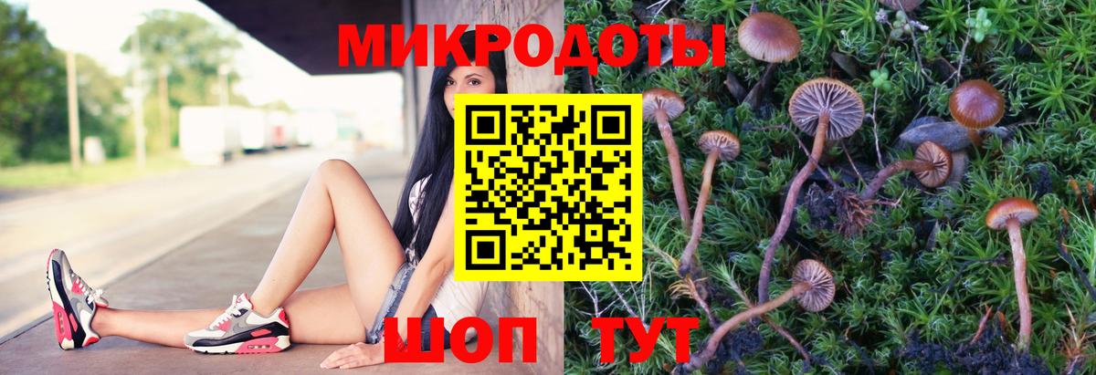 Псилоцибиновые грибы мухоморы  Вход с VPN  Шали 